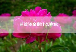 监管资金指什么意思