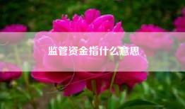 监管资金指什么意思