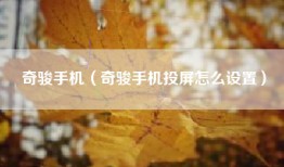奇骏手机（奇骏手机投屏怎么设置）