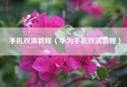手机双清教程（华为手机双清教程）