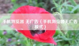 手机浏览器 无广告（手机浏览器无广告模式）