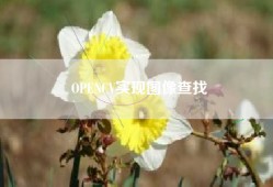 OPENCV实现图像查找