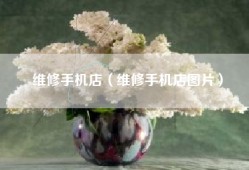 维修手机店（维修手机店图片）