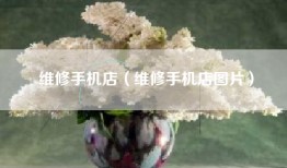 维修手机店（维修手机店图片）