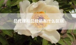 总代理和总经销有什么区别