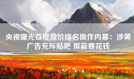 央视曝光百度竞价排名操作内幕：涉黄广告充斥贴吧 屏蔽要花钱