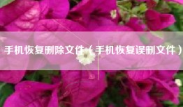手机恢复删除文件（手机恢复误删文件）