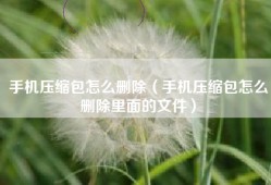 手机压缩包怎么删除（手机压缩包怎么删除里面的文件）