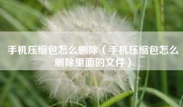 手机压缩包怎么删除(手机压缩包怎么删除里面的文件)