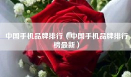 中国手机品牌排行（中国手机品牌排行榜最新）