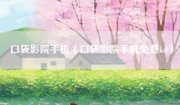 口袋影院手机（口袋影院手机免费kd）