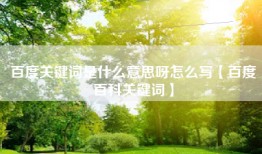 百度关键词是什么意思呀怎么写【百度百科关键词】