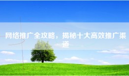 网络推广全攻略，揭秘十大高效推广渠道