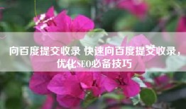 向百度提交收录 快速向百度提交收录，优化SEO必备技巧