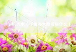 手机壳水（手机壳水凝膜是什么）