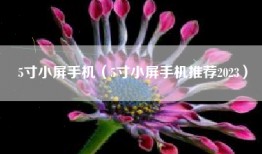 5寸小屏手机（5寸小屏手机推荐2023）