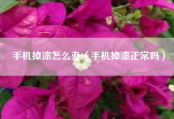 手机掉漆怎么办（手机掉漆正常吗）
