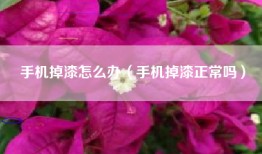 手机掉漆怎么办（手机掉漆正常吗）