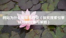 网站为什么能排名首页（探究搜索引擎认可的因素与策略）