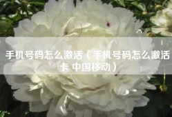 手机号码怎么激活（手机号码怎么激活卡 中国移动）