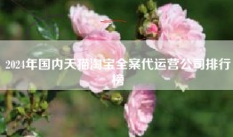 2024年国内天猫淘宝全案代运营公司排行榜