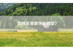 如何实现数字化转型？