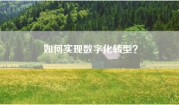 如何实现数字化转型？