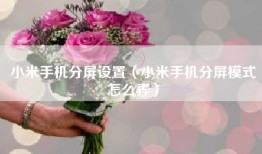 小米手机分屏设置（小米手机分屏模式怎么弄）