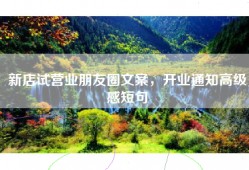 新店试营业朋友圈文案，开业通知高级感短句