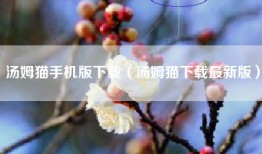 汤姆猫手机版下载（汤姆猫下载最新版）