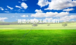 微信小程序工具类排行