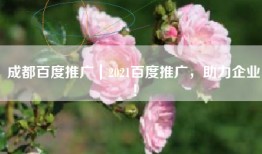 成都百度推广｜2021百度推广，助力企业！