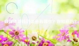 自媒体赚钱的渠道有哪些？你知道吗？