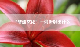 “非遗文化”一词折射出什么
