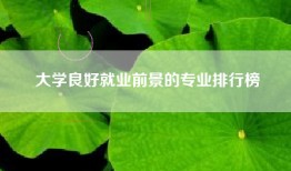 大学良好就业前景的专业排行榜