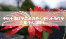 手机不能打字怎么回事（手机不能打字是什么问题）