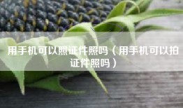 用手机可以照证件照吗（用手机可以拍证件照吗）