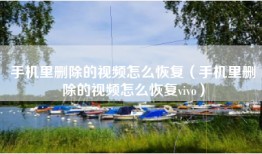 手机里删除的视频怎么恢复（手机里删除的视频怎么恢复vivo）