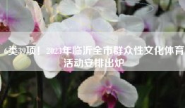 6类39项！2023年临沂全市群众性文化体育活动安排出炉