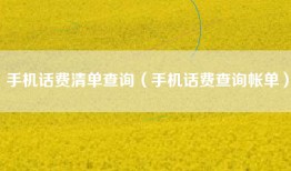 手机话费清单查询（手机话费查询帐单）