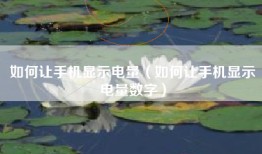 如何让手机显示电量（如何让手机显示电量数字）