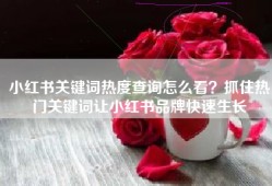 小红书关键词热度查询怎么看？抓住热门关键词让小红书品牌快速生长
