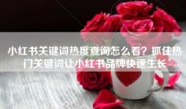 小红书关键词热度查询怎么看？抓住热门关键词让小红书品牌快速生长
