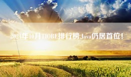 2024年10月TIOBE排行榜,Java仍居首位！