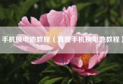 手机换电池教程（真我手机换电池教程）