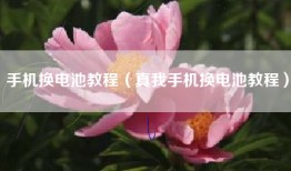 手机换电池教程（真我手机换电池教程）