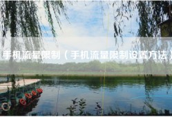 手机流量限制（手机流量限制设置方法）