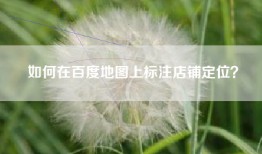 如何在百度地图上标注店铺定位？