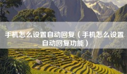手机怎么设置自动回复（手机怎么设置自动回复功能）