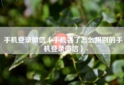 手机登录微信（手机丢了怎么用别的手机登录微信）